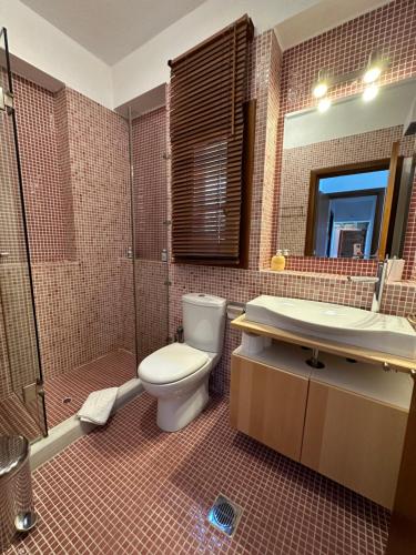 a bathroom with a toilet and a shower and a sink at Elia Pilio Villas in Pilion