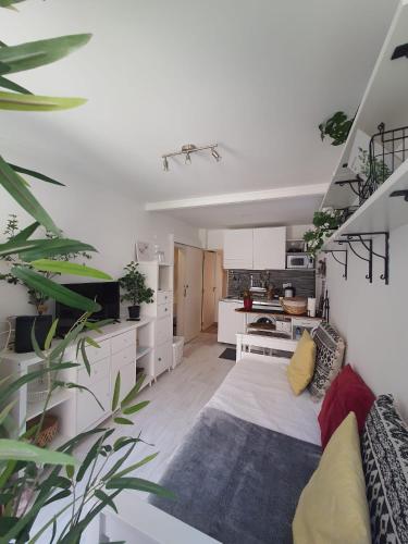 Apartamento Estrelinha