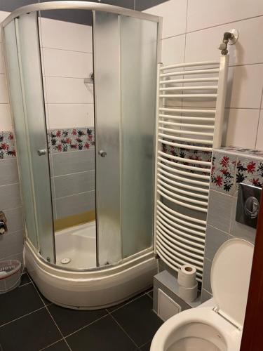a bathroom with a shower and a toilet at Hidden Gem in Košice