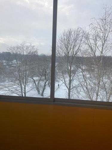 a view of a snowy field from a window at Apartment in Šiauliai in Šiauliai
