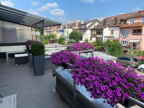 a bunch of purple flowers on a balcony at Günstiges grünes Ferienzimmer mit separater moderner Dusche in Lörrach