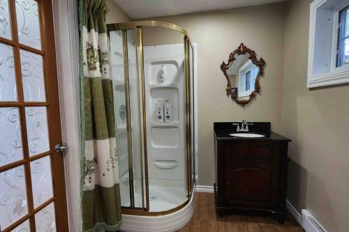 a bathroom with a shower and a sink at Skylight Waterfront home w/ amazing view/dock/boat in Lancaster