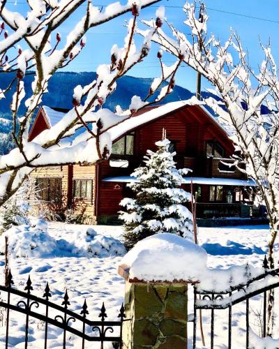 a snow covered house with a fence and a christmas tree at Садиба Карпат in Verkhovyna