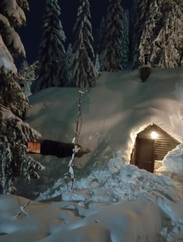 eine schneebedeckte Hütte im Wald in der Nacht in der Unterkunft Skikoliba 2 in Jahorina