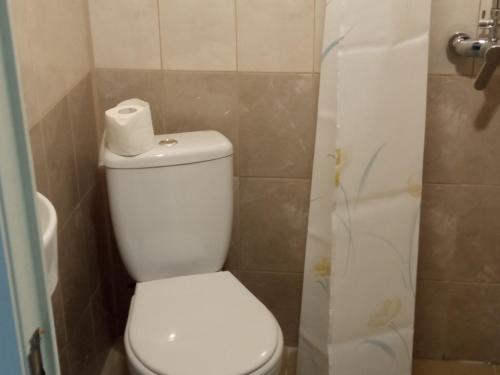 a bathroom with a toilet with a roll of toilet paper on it at Гостевой дом Салонка in Chulkovo