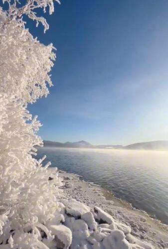 a snow covered tree next to a body of water at House in Tärnaby in Tärnaby