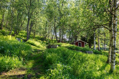 a path through a forest with a cabin in the distance at House in Tärnaby in Tärnaby
