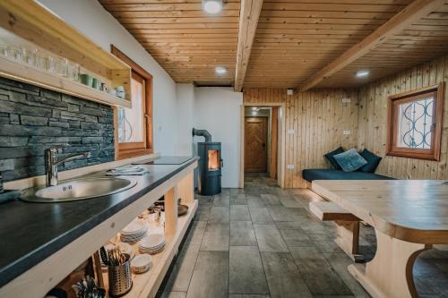 una cucina con lavandino e tavolo in una stanza di Koča Ojstrica - Velika planina a Stahovica