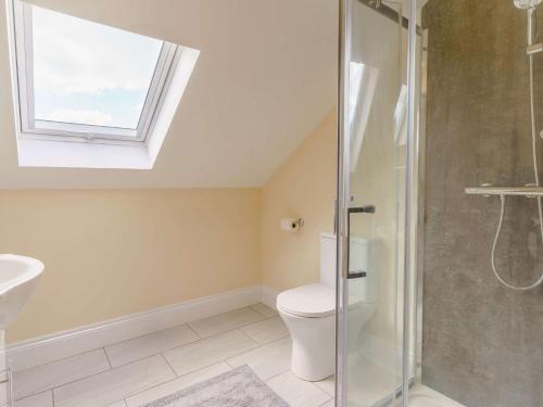 a bathroom with a toilet and a sink and a window at 2 Bed in Lampeter 86507 in Cellan