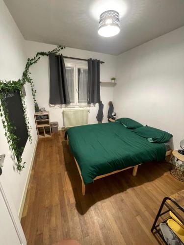 a bedroom with a bed with a green blanket at Le Ranch - proche centre ville in Reims