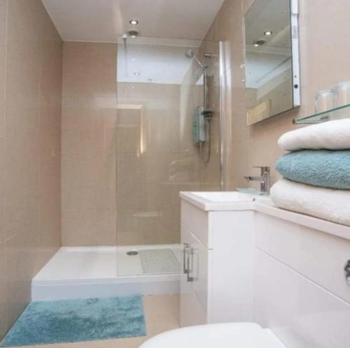 ein Bad mit einer Dusche, einem WC und einem Waschbecken in der Unterkunft Picton Lodge in Holywell