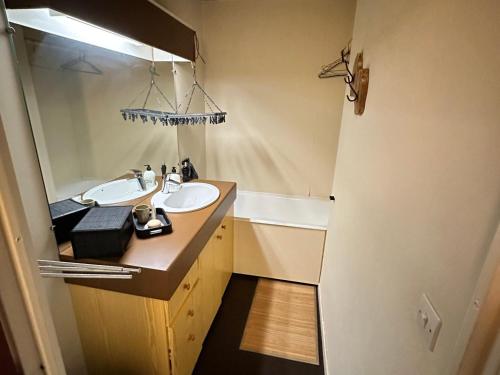 a bathroom with a sink and a mirror at Studio Corrençon-en-Vercors, 1 pièce, 5 personnes - FR-1-515-202 in Corrençon-en-Vercors