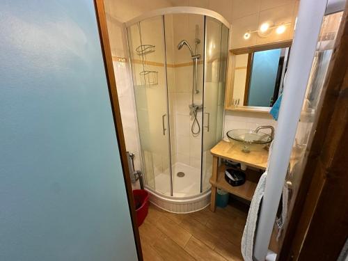 een badkamer met een douche en een wastafel bij Appartement Villard-de-Lans, 2 pièces, 6 personnes - FR-1-515-196 in Villard-de-Lans