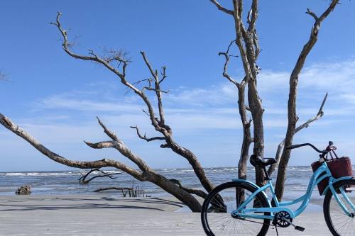 a blue bike parked next to a tree on the beach at Harbor Island E204 in Oceanmarsh Subdivision