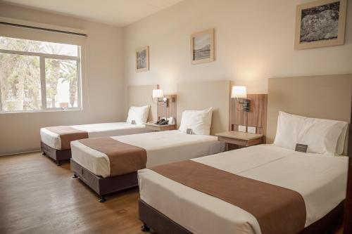 Postel nebo postele na pokoji v ubytování DM Hoteles Tacna
