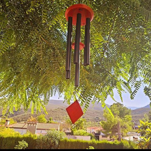 a red bird feeder hanging from a tree at Buen Estar, piscina, barbacoa, jacuzzi en Valencia in Turís
