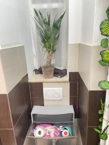 Show House photo 54