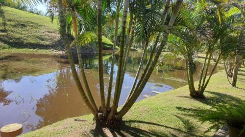two palm trees next to a body of water at Pousada Fazenda Vale Verde in Sete Barras