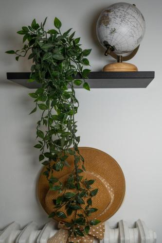 a plant in a basket on a shelf with a globe at Relax room Apartment in Rome