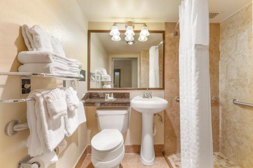 a bathroom with a toilet and a sink and a mirror at Comfort Inn University Center in Fairfax