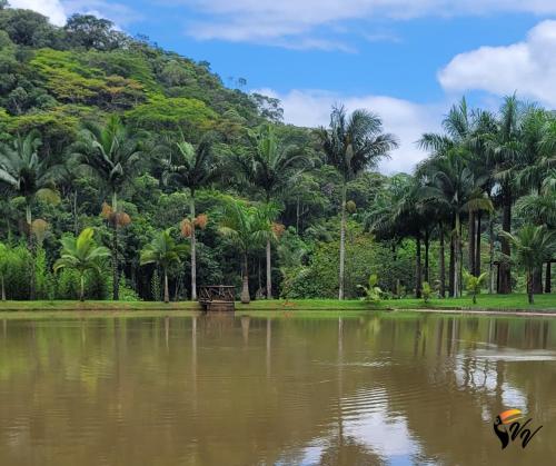 a pond in front of a forest of palm trees at Pousada Fazenda Vale Verde in Sete Barras