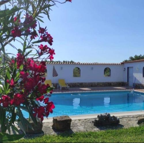 a swimming pool in a yard with a house at Fazenda do Marante in Tomar