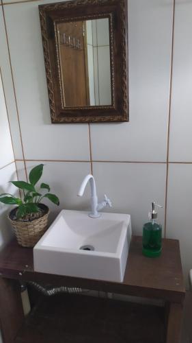 インビトゥバにあるKoa Cabana praia do luzのバスルーム(鏡、鉢植えの植物付)