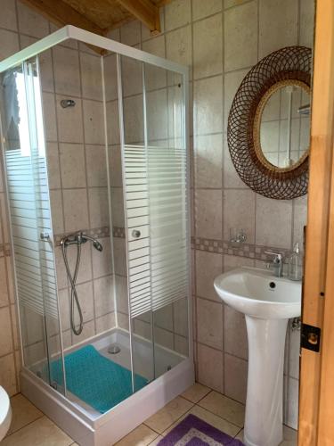 a bathroom with a shower and a sink at Cabaña la Vega in Hornopiren