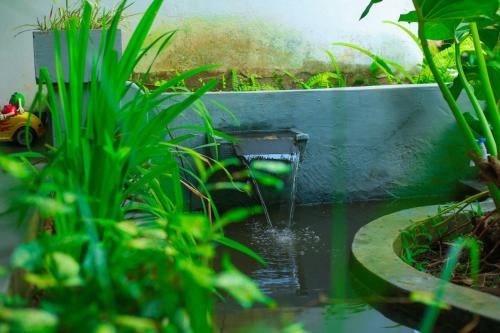 a water fountain in a garden with plants at Charming dark lodge in river in Weligama