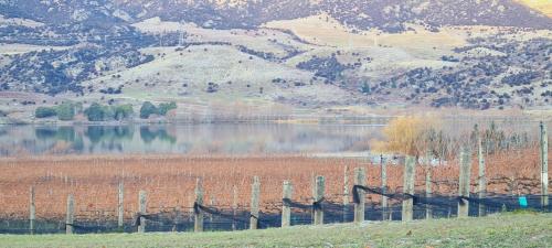 a fence next to a lake with a mountain at Glamping Dome - Rosé in Cromwell