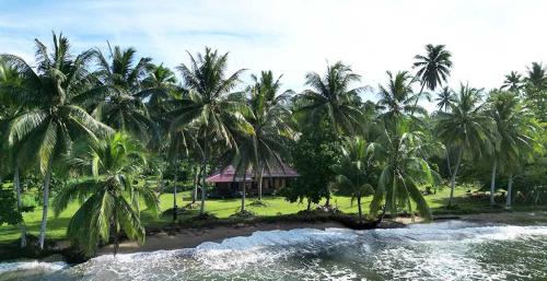 un gruppo di palme su una spiaggia vicino all'acqua di Bogani-Cottages a Beniha