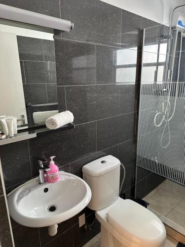 a bathroom with a toilet and a sink at Villa Susanna 3 bedroom 2 bathroom house sleeps 6Plus in Willemstad