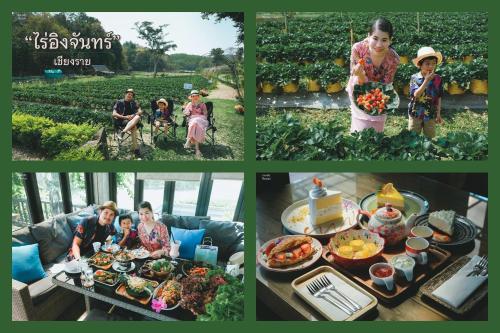 a collage of photos of a family preparing food at Ing Chan Farm /ไร่อิงจันทร์ in Chiang Rai