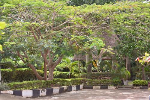 a park with trees and bushes and a path at St. Patrick’s Forest House in Entebbe