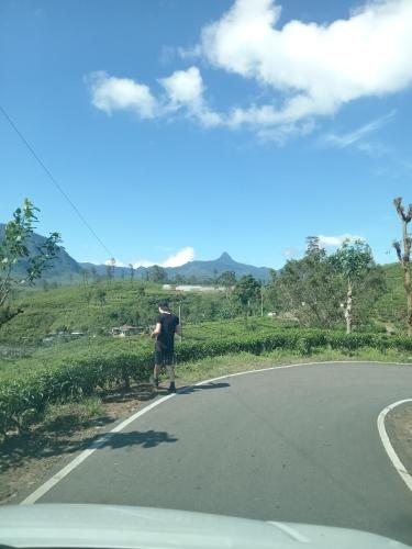 a man walking down a road with a kite at Princess of Dickoya Homestay in Hatton