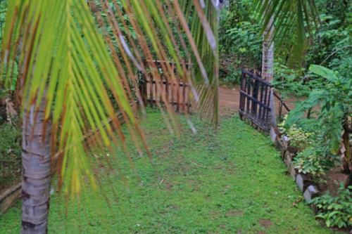 The river face safari resort – Photos 3