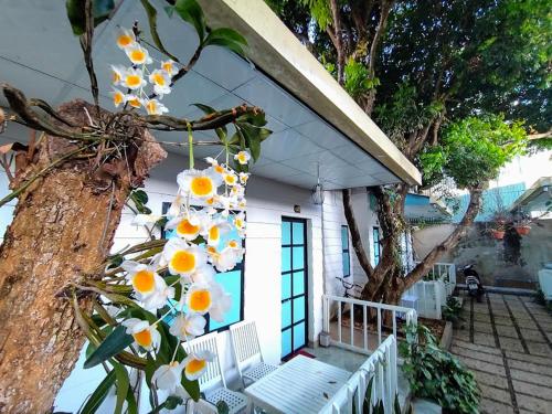 drzewo z białymi i żółtymi kwiatami na domu w obiekcie Homestay Vườn nhãn w mieście Pleiku
