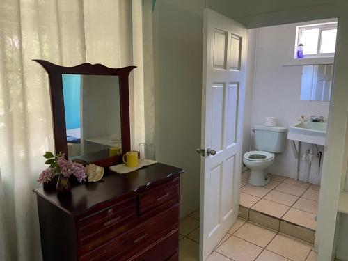 een badkamer met een wastafel, een toilet en een spiegel bij No Regrets in Coxen Hole