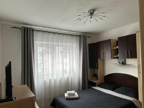 a bedroom with a bed and a window at Bucovina View apartment in Câmpulung Moldovenesc