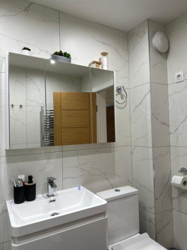 a bathroom with a sink and a toilet and a mirror at Bucovina View apartment in Câmpulung Moldovenesc