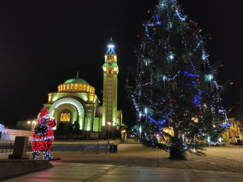 a christmas tree in front of a building with a clock tower at Arcade Apartament in Orăştie