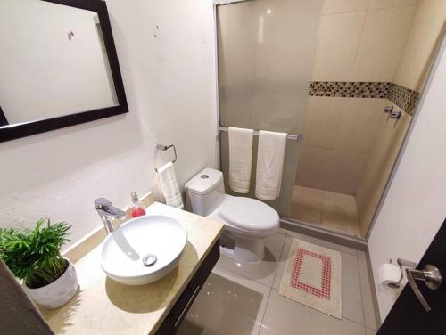 uma casa de banho com um WC, um lavatório e um chuveiro em Departamento Linda Vista Privado A/C Cochera 24/7 em Querétaro