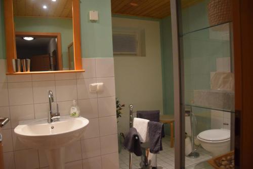 a bathroom with a sink and a toilet and a mirror at Ferienwohnung Lavendel Hofgeismar in Hofgeismar