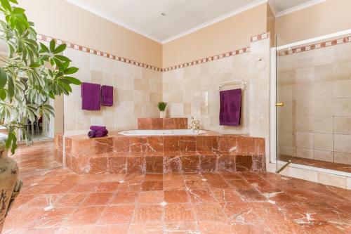 y baño grande con bañera y ducha. en Kleinbosch Lodge, en Stellenbosch