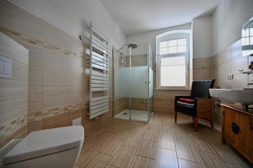 a bathroom with a shower and a toilet and a sink at Alte Schule in Bad Brambach