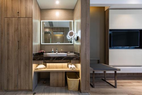拉薩的住宿－拉萨布达拉宫亚朵酒店，一间带水槽和镜子的浴室