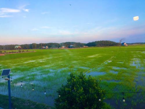 a field with a fence in the middle of it at LA'S FARMSTAY in Trảng Bàng
