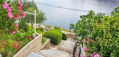 Ferienwohnung direkt an der Adria