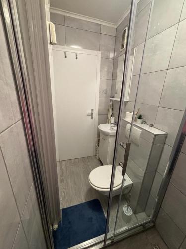 a small bathroom with a toilet and a shower at Studio apartman Stefi in Samobor
