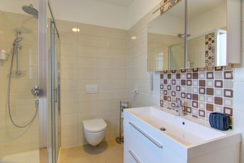 La salle de bains est pourvue de toilettes, d'un lavabo et d'une douche. dans l'établissement Villa Dominika, à Kaštelir